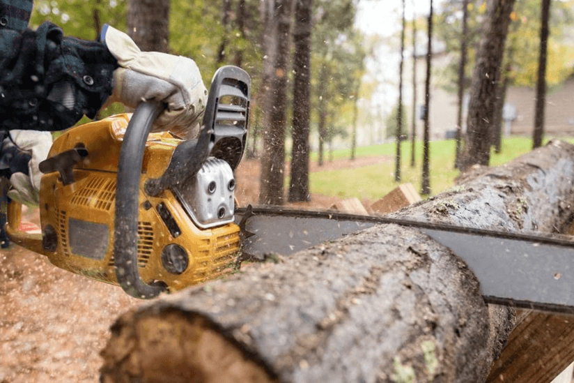 Motosserras elétricas Black+Decker: potência e precisão em suas mãos 